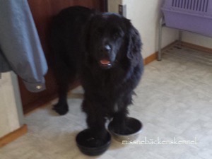 10366260_10152243635739473_2571174961570346006_n