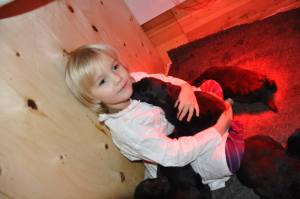 10830799_10152912597440011_9211680874850367283_o