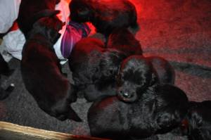 10863833_10152912597175011_7159406604188456603_o