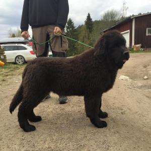 10996528_10153303473050011_1901077342808686583_n