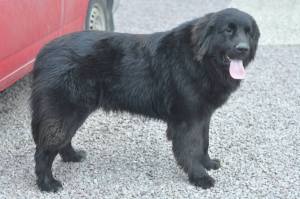 1400172_10152056824870011_893406016_o