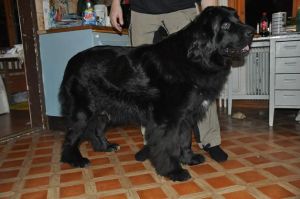 1453460_10152912598615011_6441285001968463485_n