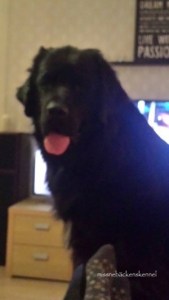 1471165_10151899884949473_2044200406_n