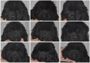 1622716_10152276737110011_1104049089_n