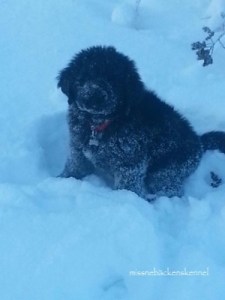 706089_10151202718399473_371770031_o