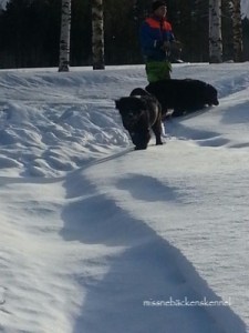 883044_10151364348994473_1189112980_o