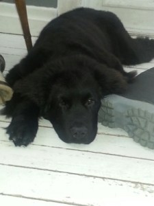 886469_10151356940744473_1432385237_o