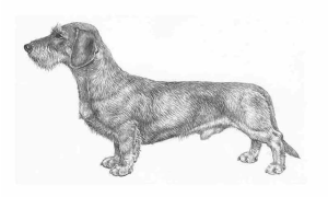 Skärmavbild 2014-12-22 kl. 13.01.30